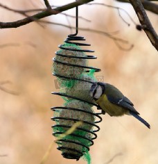芽庄旅游,越南 越南旅游 东南亚 海岛 海岛游 海