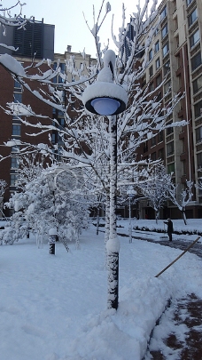 寒冷冬天的雪景