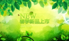 清新绿色春季图片