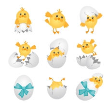 卡通雏鸡和蛋壳