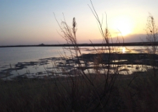 星海湖落日图片