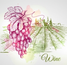 手绘葡萄酒庄园图片