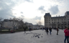 巴黎圣母院广场图片