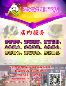 宠物狗宠物店彩页图片