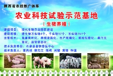 生猪养殖养殖示范基地