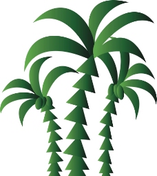 矢量椰子树图片