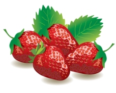 草莓矢量素材 草莓图片 草莓
