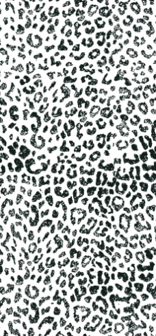 豹纹图案 矢量 ps分层图片