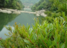 莆田九龙谷风景图片