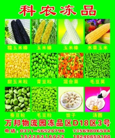 玉米青豆毛豆汤圆水饺科农冻品图片