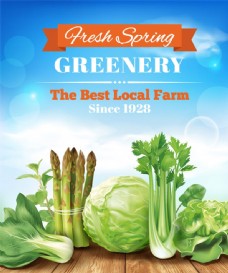绿色蔬菜精美有机蔬菜海报