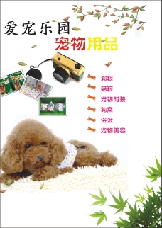 宠物狗宠物用品海报