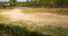 干涸的公园湖泊图片