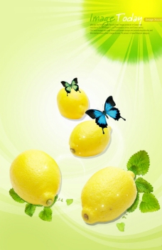 清新柠檬图片