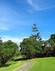 蓝天白云草地新西兰自然风景图片