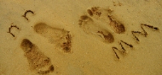 沙滩 脚印图片