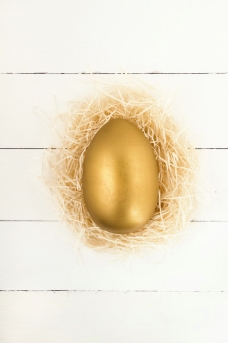 在鸟巢里的金鸡蛋高清图片