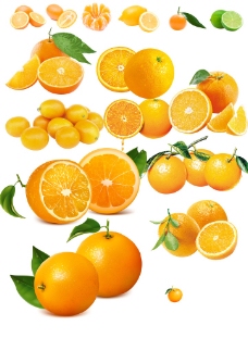 高清水果 鲜果 桔子 橙子图片