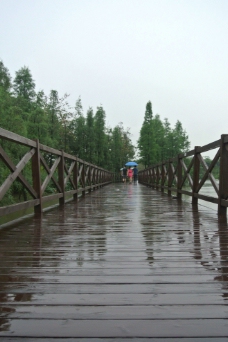 一条雨后的木桥图片