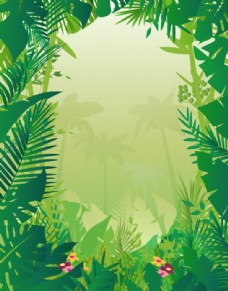热带雨林树叶边框图片
