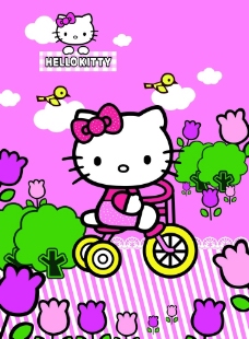 Hello Kitty  猫图片