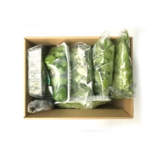 一箱蔬菜图片