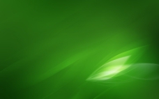 绿色叶子绿色叶片放光背景图