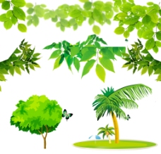 绿色树叶 椰子树图片