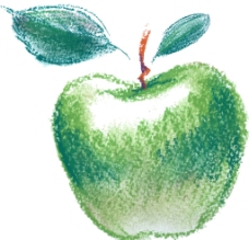 青苹果彩绘矢量素材图片