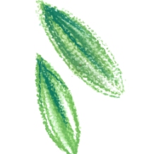 木瓜彩绘矢量素材图片