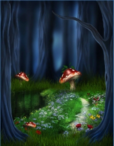 夜间树丛蘑菇美景图片