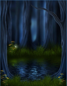 夜间丛林美景图片