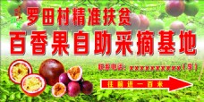 百香果产业示范基地