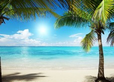 度假加勒比海沙滩美景