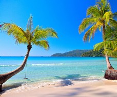 度假海边椰树风景