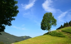 山顶蓝天绿树高清图片
