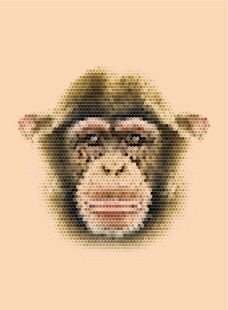 猩猩图片