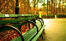 中央公园绿色长椅图片
