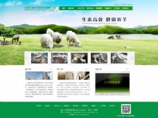网页模板简洁大气农牧企业网站模板PSD
