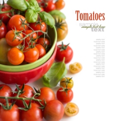 绿色叶子新鲜的小番茄水果高清图片