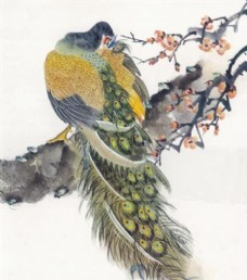 花鸟 中国画 59