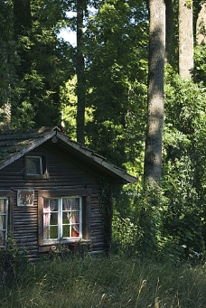 大自然林间小屋