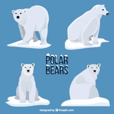 散步北极熊