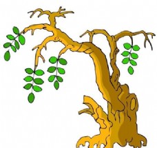 树木古典插画