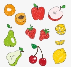 11款彩绘水果设计矢量图