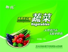 绿色蔬菜蔬菜宣传