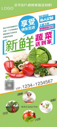 绿色蔬菜蔬菜展架