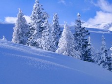 唯美冬季雪景图片