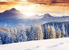 冬天美丽雪山森林风景