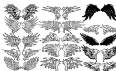 其他生物手绘翅膀设计矢量素材图片